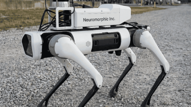Neuromorphic Robot Sistemleri