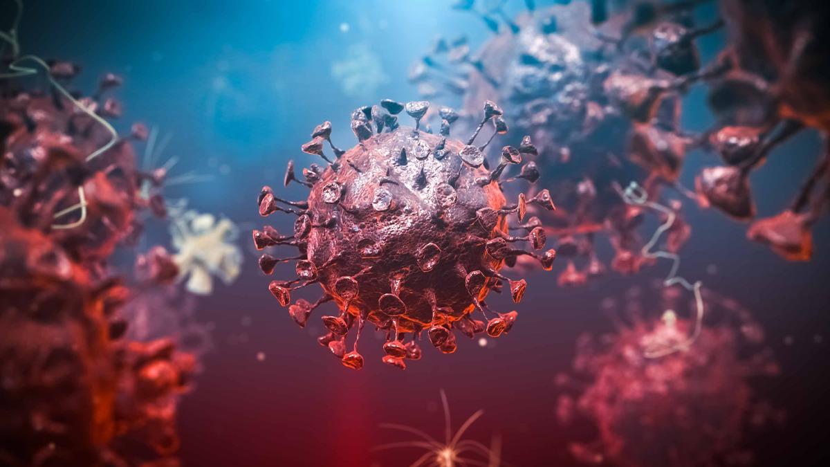 Ebola Salgını