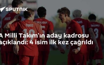 A Milli Takım
