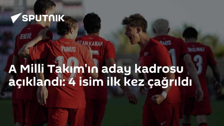 A Milli Takım