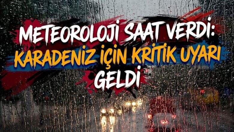 karadeniz sahil şeridi